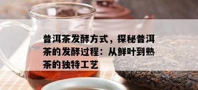 普洱茶发酵方式，探秘普洱茶的发酵过程：从鲜叶到熟茶的独特工艺