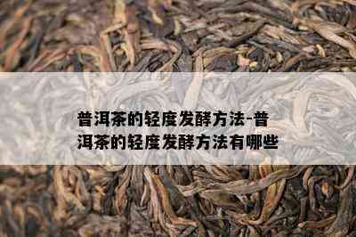 普洱茶的轻度发酵方法-普洱茶的轻度发酵方法有哪些