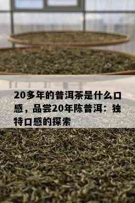 20多年的普洱茶是什么口感，品尝20年陈普洱：独特口感的探索