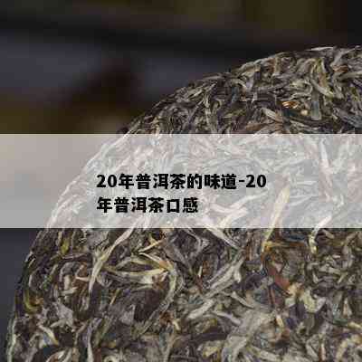 20年普洱茶的味道-20年普洱茶口感