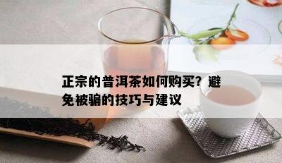 正宗的普洱茶如何购买？避免被骗的技巧与建议