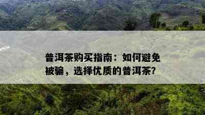 普洱茶购买指南：如何避免被骗，选择优质的普洱茶？