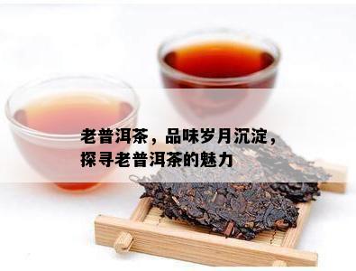 老普洱茶，品味岁月沉淀，探寻老普洱茶的魅力