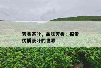 芳香茶叶，品味芳香：探索优质茶叶的世界