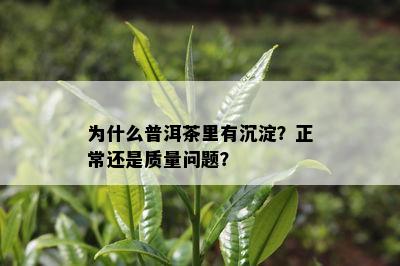 为什么普洱茶里有沉淀？正常还是质量问题？