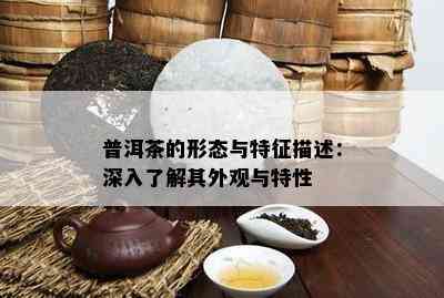 普洱茶的形态与特征描述：深入了解其外观与特性