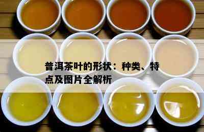 普洱茶叶的形状：种类、特点及图片全解析