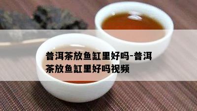 普洱茶放缸里好吗-普洱茶放缸里好吗视频