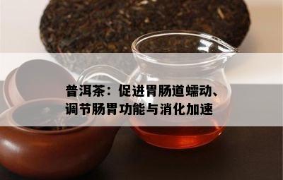 普洱茶：促进胃肠道蠕动、调节肠胃功能与消化加速