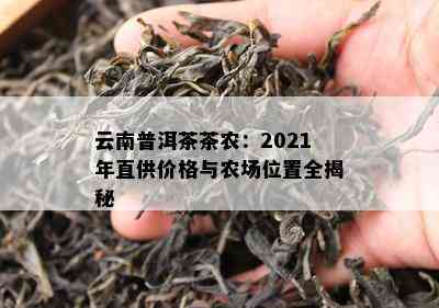 云南普洱茶茶农：2021年直供价格与农场位置全揭秘