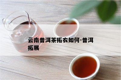 云南普洱茶拓农如何-普洱拓展