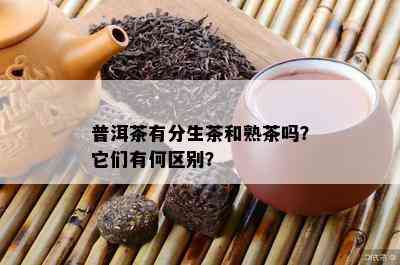 普洱茶有分生茶和熟茶吗？它们有何区别？