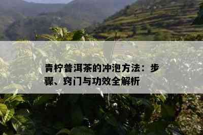 青柠普洱茶的冲泡方法：步骤、窍门与功效全解析