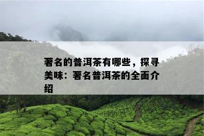 著名的普洱茶有哪些，探寻美味：著名普洱茶的全面介绍