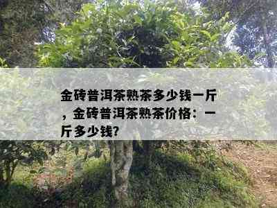 金砖普洱茶熟茶多少钱一斤，金砖普洱茶熟茶价格：一斤多少钱？