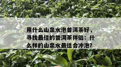 用什么山泉水泡普洱茶好，寻找更佳的普洱茶伴侣：什么样的山泉水最适合冲泡？