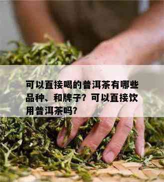 可以直接喝的普洱茶有哪些品种、和牌子？可以直接饮用普洱茶吗？