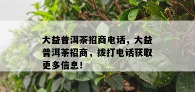 大益普洱茶招商电话，大益普洱茶招商，拨打电话获取更多信息！