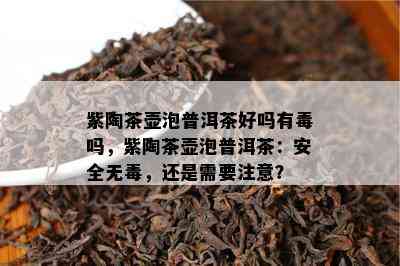 紫陶茶壶泡普洱茶好吗有吗，紫陶茶壶泡普洱茶：安全无，还是需要注意？