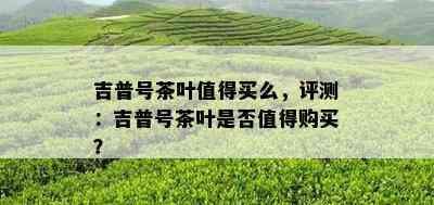 吉普号茶叶值得买么，评测：吉普号茶叶是否值得购买？