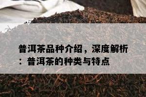 普洱茶品种介绍，深度解析：普洱茶的种类与特点