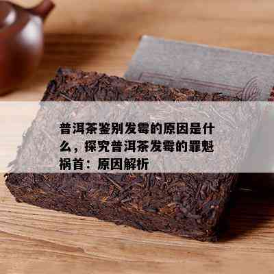 普洱茶鉴别发霉的原因是什么，探究普洱茶发霉的罪魁祸首：原因解析