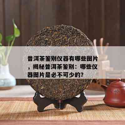 普洱茶鉴别仪器有哪些图片，揭秘普洱茶鉴别：哪些仪器图片是必不可少的？