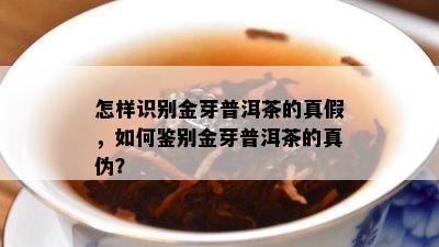 怎样识别金芽普洱茶的真假，如何鉴别金芽普洱茶的真伪？