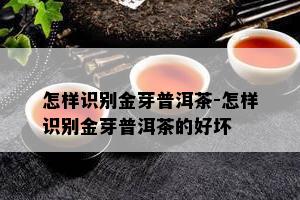 怎样识别金芽普洱茶-怎样识别金芽普洱茶的好坏