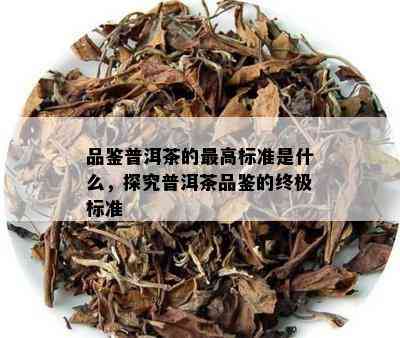 品鉴普洱茶的更高标准是什么，探究普洱茶品鉴的终极标准