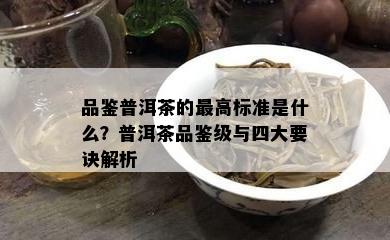 品鉴普洱茶的更高标准是什么？普洱茶品鉴级与四大要诀解析