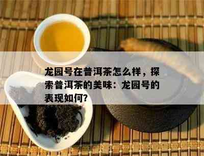 龙园号在普洱茶怎么样，探索普洱茶的美味：龙园号的表现如何？