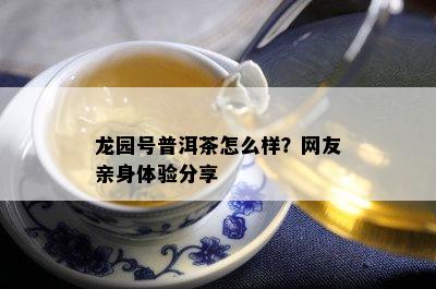 龙园号普洱茶怎么样？网友亲身体验分享