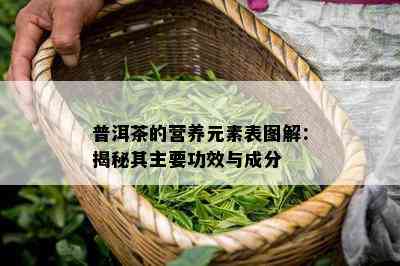 普洱茶的营养元素表图解：揭秘其主要功效与成分