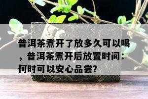 普洱茶煮开了放多久可以喝，普洱茶煮开后放置时间：何时可以安心品尝？