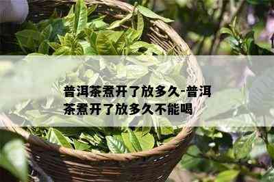 普洱茶煮开了放多久-普洱茶煮开了放多久不能喝