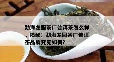 勐海龙园茶厂普洱茶怎么样，揭秘：勐海龙园茶厂普洱茶品质究竟如何？