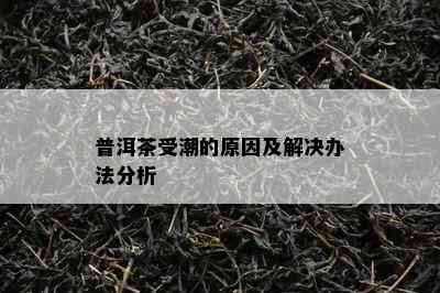 普洱茶受潮的原因及解决办法分析