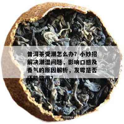 普洱茶受潮怎么办？小妙招解决潮湿问题，影响口感及香气的原因解析，发霉是否还能饮用？