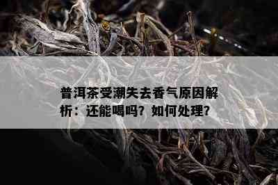 普洱茶受潮失去香气原因解析：还能喝吗？如何处理？