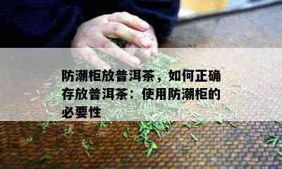 防潮柜放普洱茶，如何正确存放普洱茶：使用防潮柜的必要性