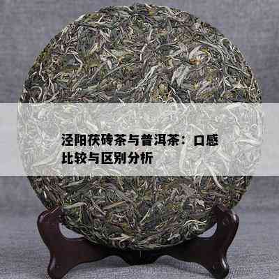 泾阳茯砖茶与普洱茶：口感比较与区别分析