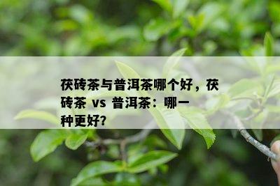 茯砖茶与普洱茶哪个好，茯砖茶 vs 普洱茶：哪一种更好？