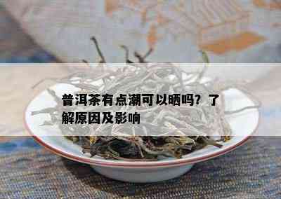 普洱茶有点潮可以晒吗？了解原因及影响