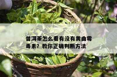 普洱茶怎么看有没有黄曲霉素？教你正确判断方法