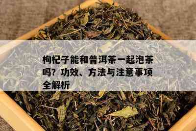 枸杞子能和普洱茶一起泡茶吗？功效、方法与注意事项全解析