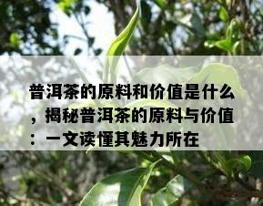 普洱茶的原料和价值是什么，揭秘普洱茶的原料与价值：一文读懂其魅力所在