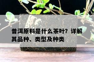 普洱原料是什么茶叶？详解其品种、类型及种类