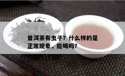 普洱茶有虫子？什么样的是正常现象，能喝吗？