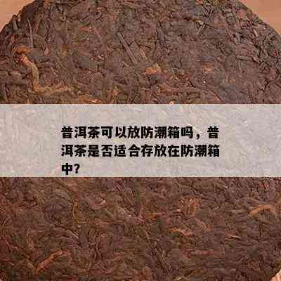 普洱茶可以放防潮箱吗，普洱茶是否适合存放在防潮箱中？